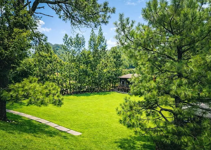 Orgánico Boutique Hotel