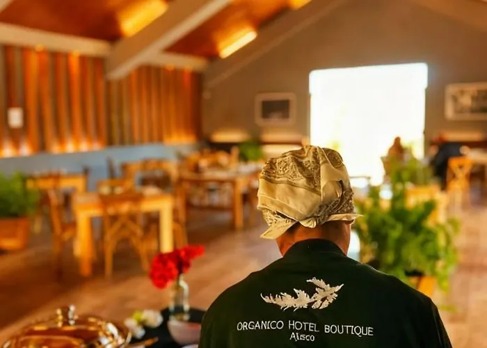 Hotel Orgánico Boutique 4*
