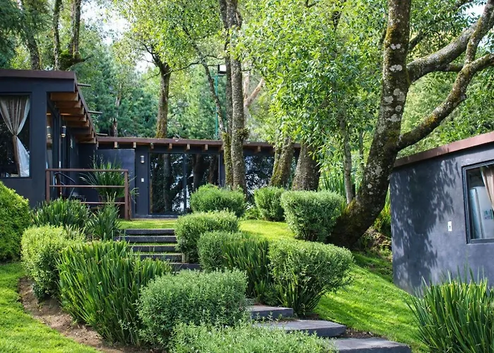 Hotel Orgánico Boutique